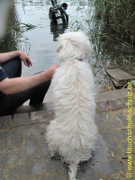 Ausbildungswochenende Pretzien 2015