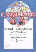 Beachvolleyball 2009