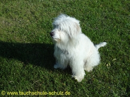 Brunsnaestour 10.-13.06.2011