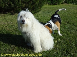 Brunsnaestour 10.-13.06.2011