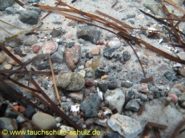 Brunsnaestour 10.-13.06.2011