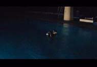 Eintauchphase 17 Metersprung