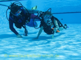 Ferienspaß 2008 Stadensen