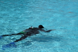 Ferienspasskalender 2014 Stadensen