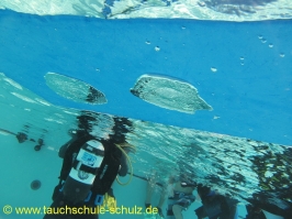 Ferienspasskalender Stadensen 2011