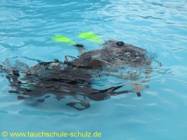 Ferienspasskalender Stadensen 2012