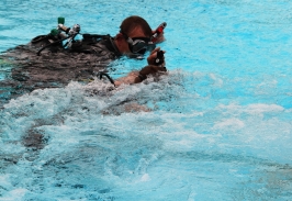 Ferienspasskalender Stadensen 2012