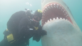 Fun Tauchen und SK Gruppenfuehrung und Orientieren unter Wasser 09.+10.07.11