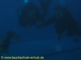 Handicap-Tauchgangsbegleiter - Prüfung