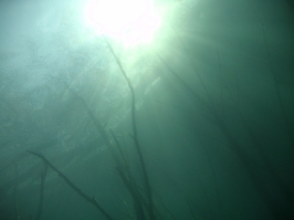 Hemmoor 21./22.04.2007