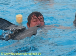 Individuelles Training 01.07.2010