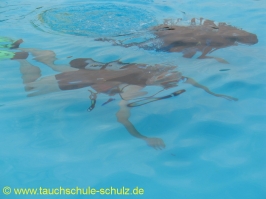 Schnuppertauchen Hobbykicker 2009