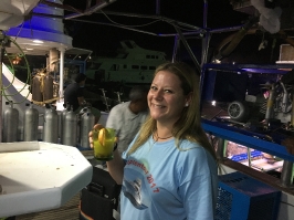 Eindrücke der Tauchsafari_4