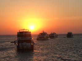 Eindrücke der Tauchsafari_5