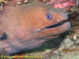 Thailand www.aqua-divers.de