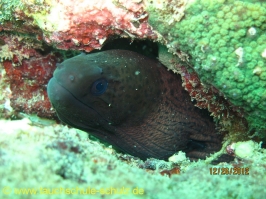 Thailand www.aqua-divers.de