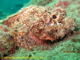 Thailand www.aqua-divers.de