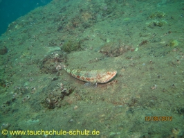 Thailand www.aqua-divers.de