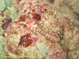 Thailand www.aqua-divers.de