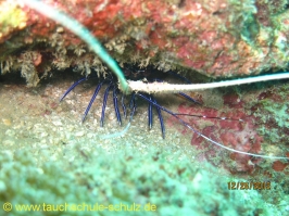 Thailand www.aqua-divers.de