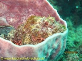 Thailand www.aqua-divers.de