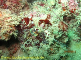 Thailand www.aqua-divers.de