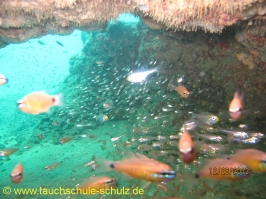 Thailand www.aqua-divers.de