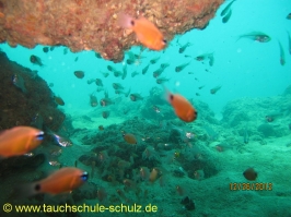 Thailand www.aqua-divers.de