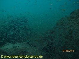 Thailand www.aqua-divers.de