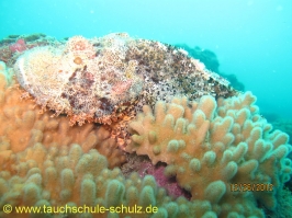 Thailand www.aqua-divers.de