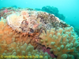 Thailand www.aqua-divers.de