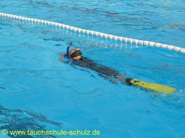 Training Flipper 1 2009